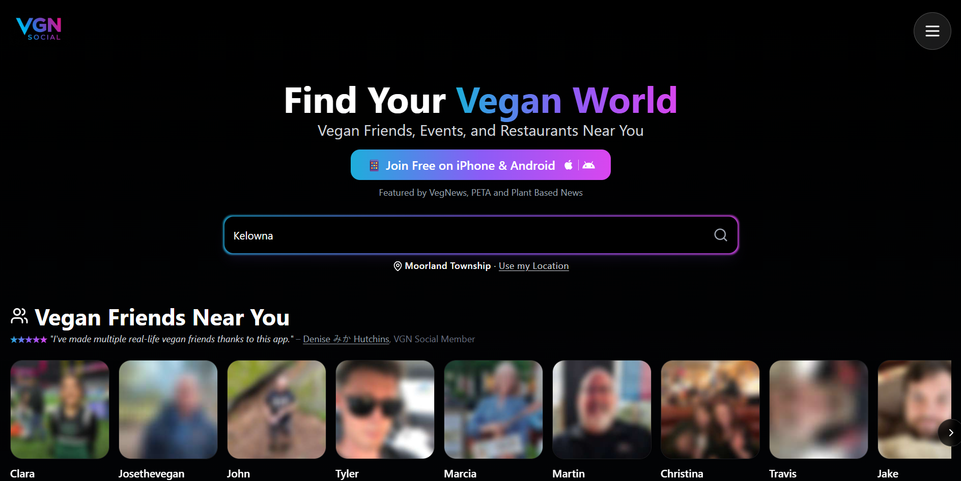 VGN Social website screenshot